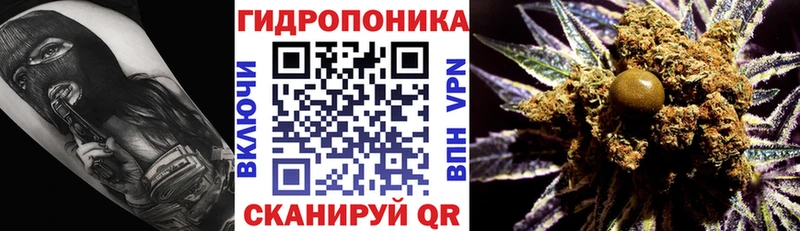 Шишки марихуана ГИДРОПОН  Купить  Жиздра 